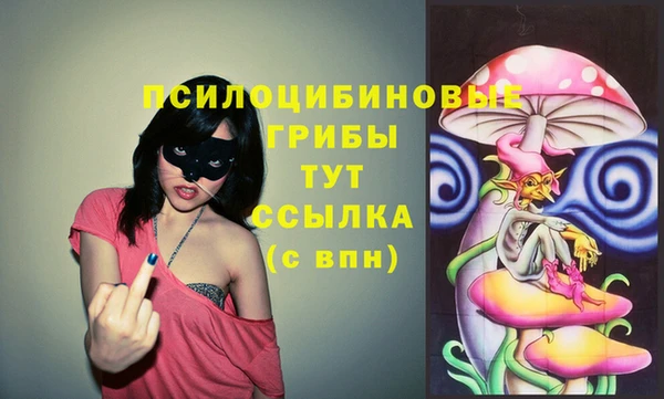 спиды Баксан