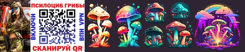 Псилоцибиновые грибы MAGIC MUSHROOMS  Бобров 